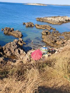 Photo de Tomy 66 le long du parcours