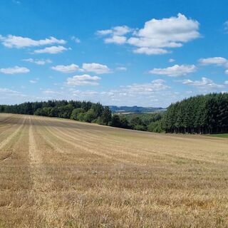 Foto von Bettina Lotz entlang der Tour