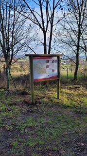 Waldweg Hille