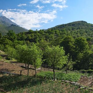 Tour 23: Rundweg von Sant'Andria (Feliceto)
