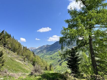 Foto von Kerstin Albrecht entlang der Tour