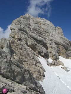 Dachsteinblick