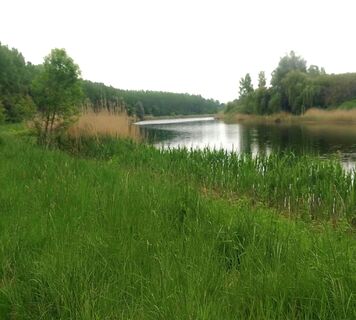 Route entlang der serbisch-kroatischen Grenze, Bezdan