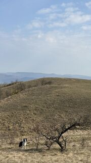 Foto de Balázs Lengyel 1 a lo largo del recorrido