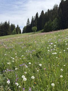 Foto von Christopher Rubin entlang der Tour