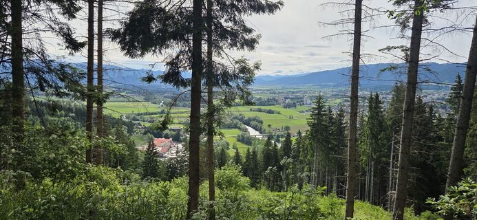 Fotografija s spletne strani Franz Lammer na poti