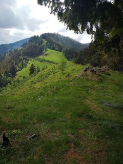 Am Brandnerkogel Richtung Schwarzkogel