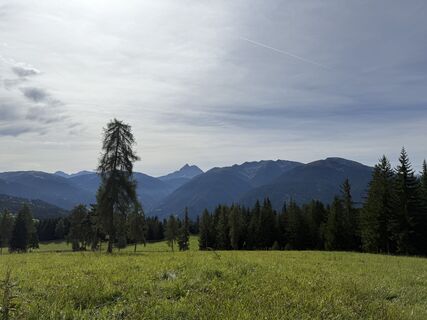 Foto från Frank de Vries under resans gång