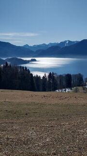 Photo de Pur Alexander le long du parcours
