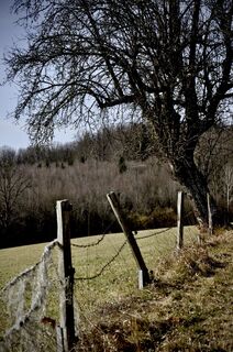 Foto de Kellner Heidi a lo largo del recorrido