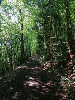 Foto von Christina Turnwald entlang der Tour