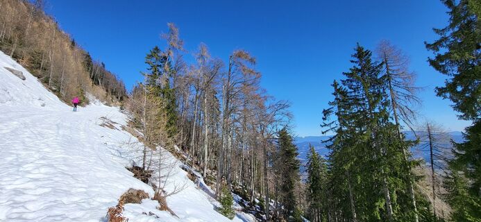 Fotografia z Dejan Vončina na trase