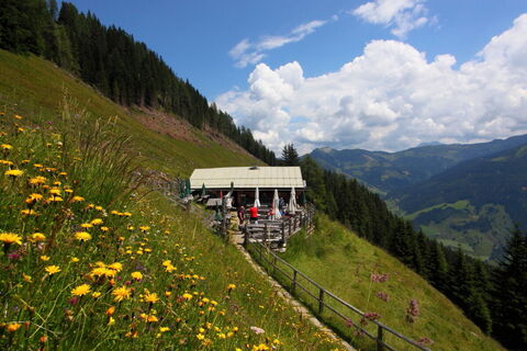 Viehhausalm