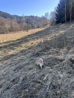 Fotografie z Vladik82 na trase