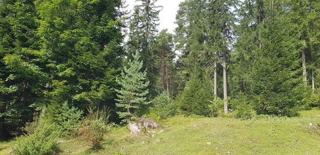 Photo de Elizabeth Chabert le long du parcours