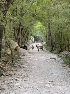 Fotografia z Dan Juvan na trase