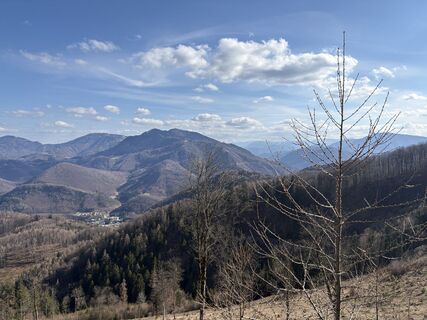 Foto von Moonytiger entlang der Tour