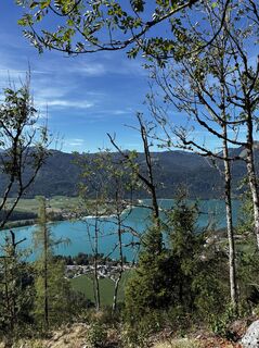 Photo de Birgit Haubner le long du parcours