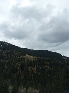 Foto da Aner lungo il tour