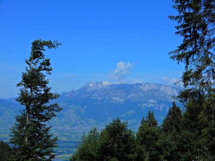 Planken - Feldkirch
