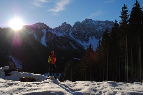 Auf dem Weg zur Ogrisalm