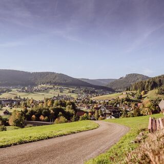 Mitteltal