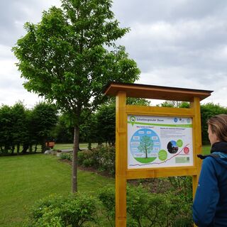Schlosspark Pöllau: Start Klimazukunft-Weg im Herbst in der Oststeiermark
