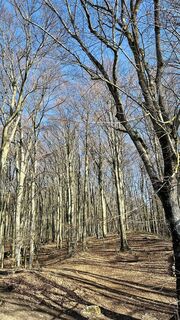 Foto de Vicont0706 a lo largo del recorrido