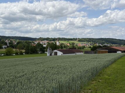 Foto von Schaali entlang der Tour
