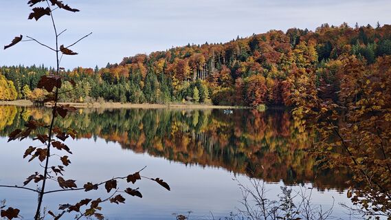 Foto van Wolfgang Wagner 7 langs de tour