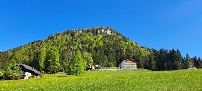 Blick auf den Predigsthul