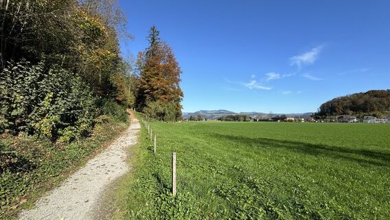 Foto von peter_oe entlang der Tour