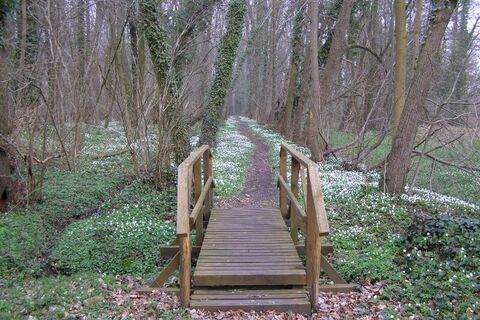 Holzbrücke Naturlehrpfad Vienau