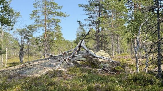 Foto von edefreak entlang der Tour