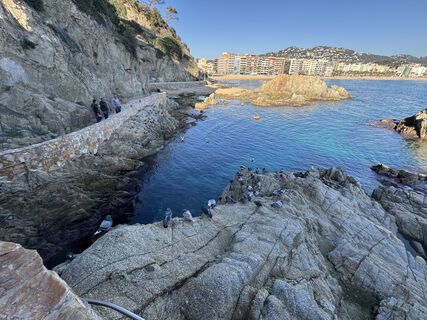 Fotografija s spletne strani Heidi na poti