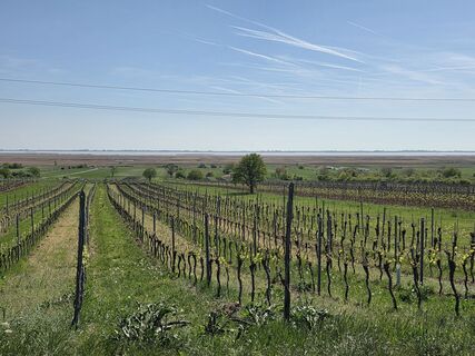 Fotografija s spletne strani Josef Luger na poti