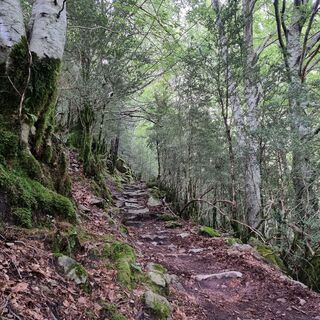 Foto von Roswitha Wawerla entlang der Tour