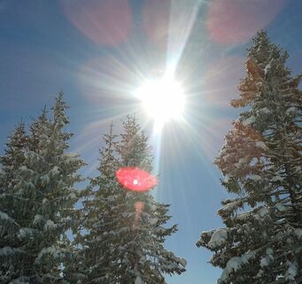 Sonniger Wintertag
