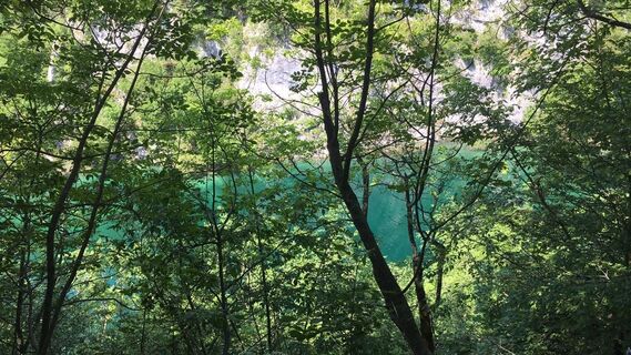 Fotografia z Lomalinda na trase