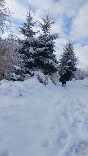 Fotografia z Pur Alexander na trase