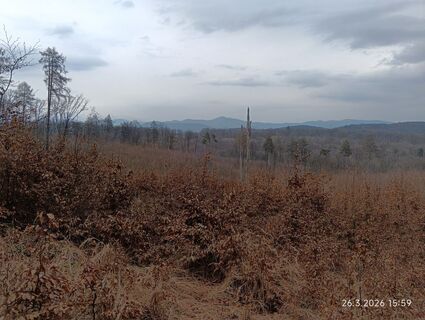 Foto von Roman Anenitojedno entlang der Tour