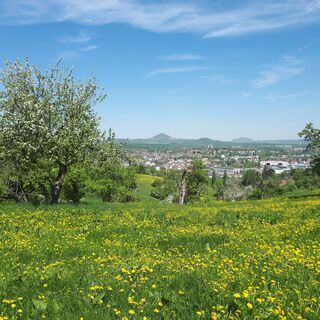 Stadtansicht