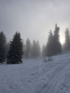 Photo de Nikolas von Merveldt le long du parcours