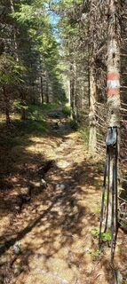 Fotografija s spletne strani Erwin Rath na poti