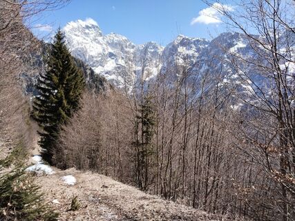 Zdjęcie z Johann Hummel wzdłuż trasy