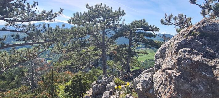 Foto de Alexandra Stani a lo largo del recorrido