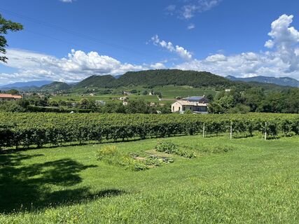 Foto von Stefan Otto entlang der Tour