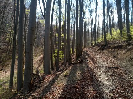 Foto von bremsrad entlang der Tour