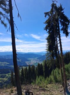 Photo de erich1207 le long du parcours