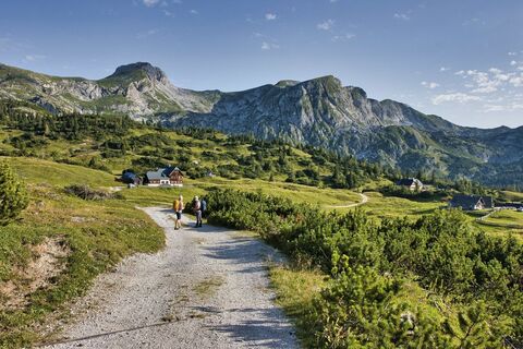 Die Russenstraße führt direkt auf die Sonnschienalm